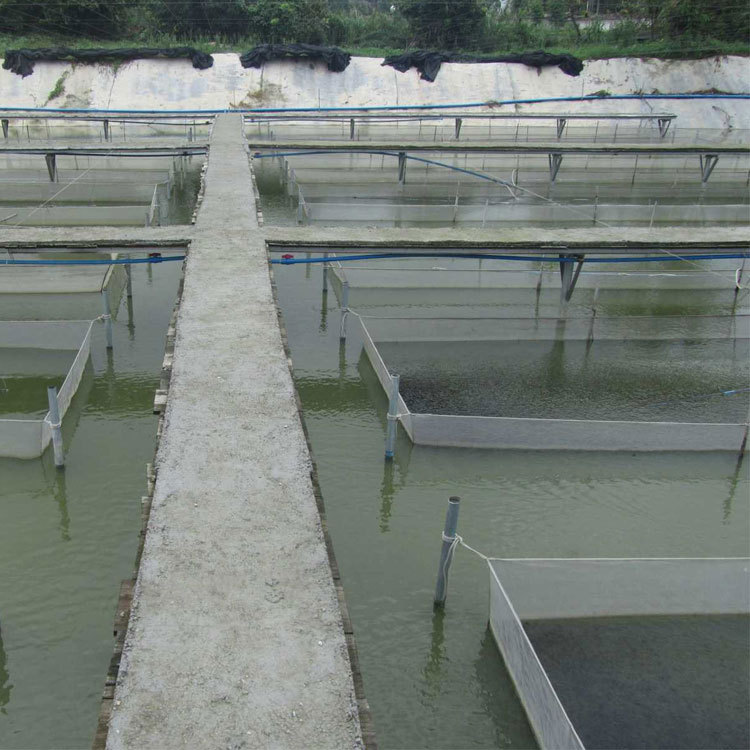 【超低价】水蛭泥鳅养殖围网水产养殖网网箱塑料网平底养殖网箱
