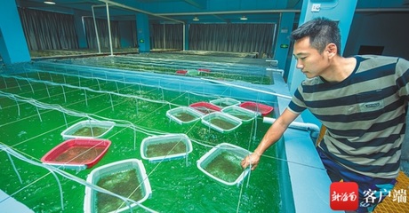 文昌冯家湾产业园:多个项目加快施工推动水产养殖业转型升级